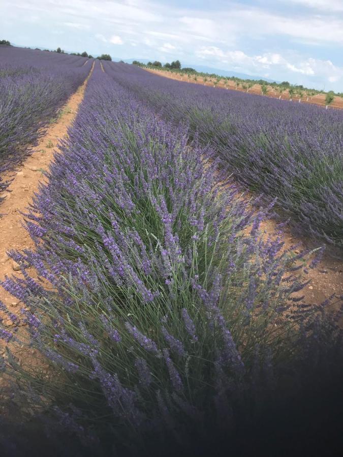 L' Esmerand Cotignac Exteriér fotografie